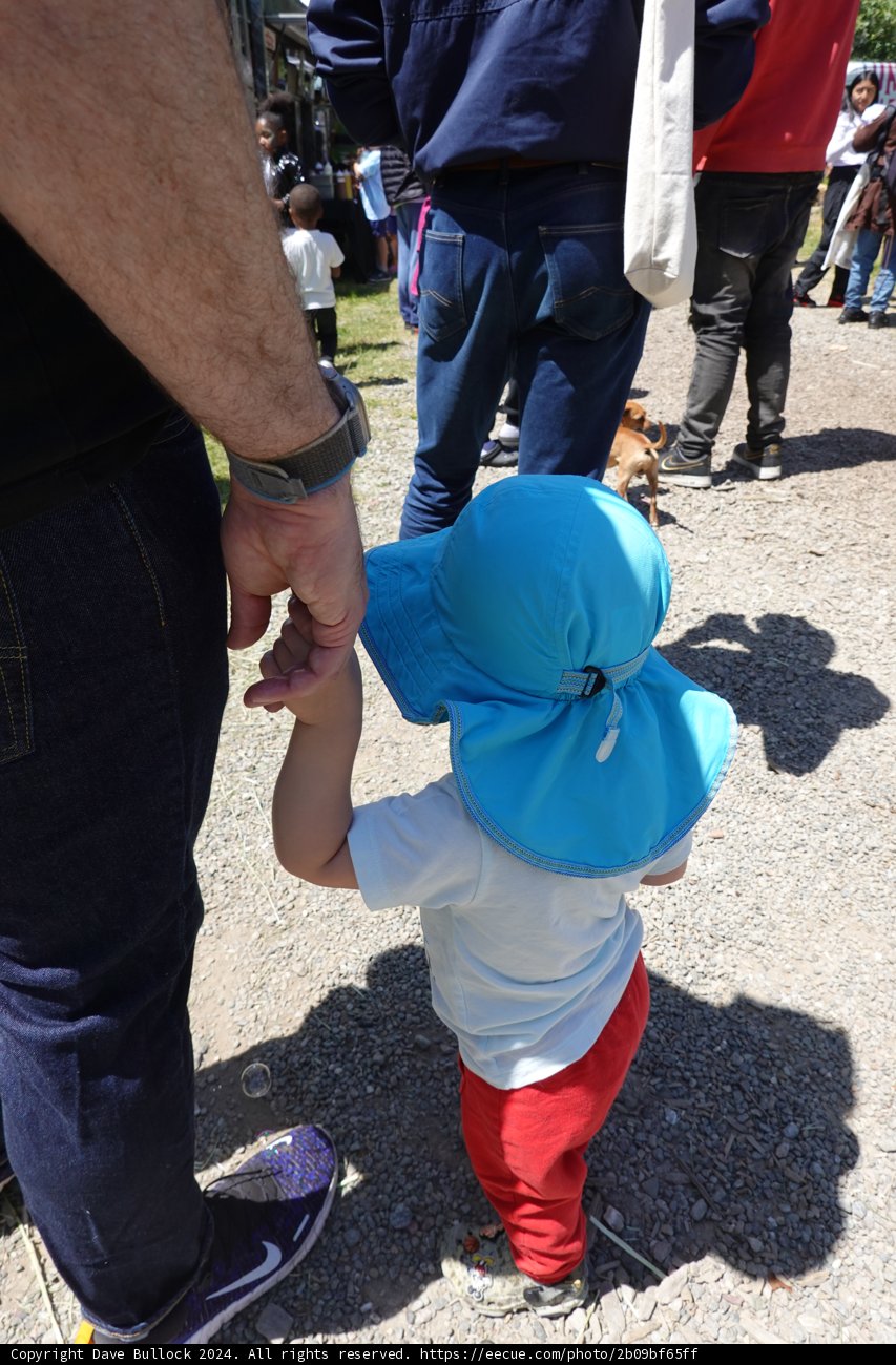 Holding Hands at the Park