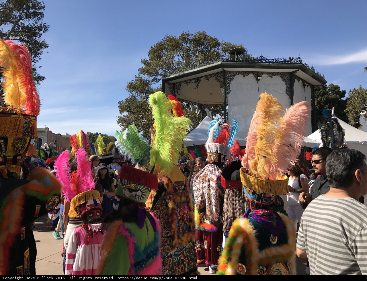 Carnival parade of feathered enthusiasts