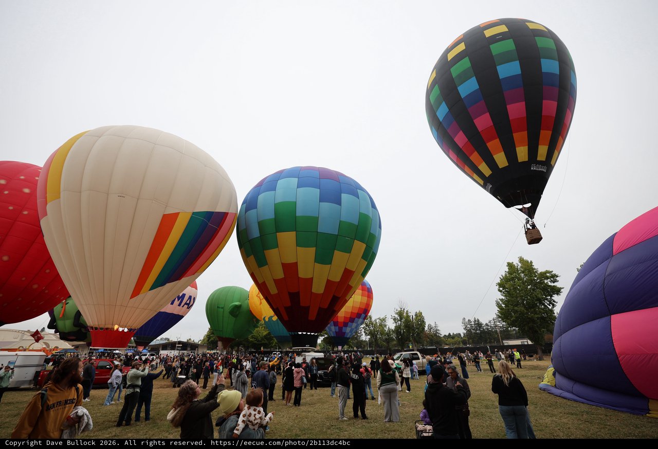 Colorful Hot Air Balloons Launch at Sonoma County Classic
