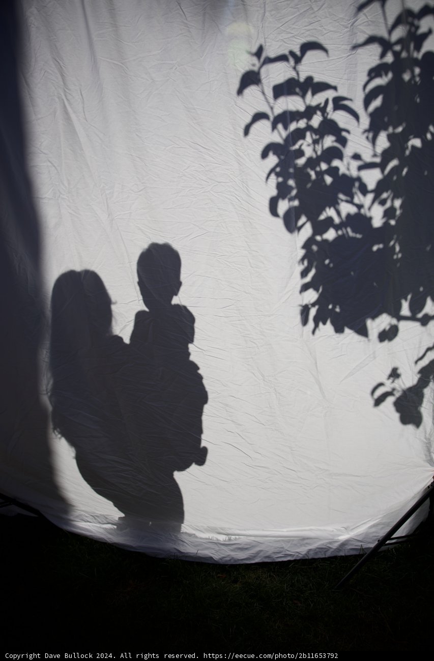Silhouettes of New Beginnings