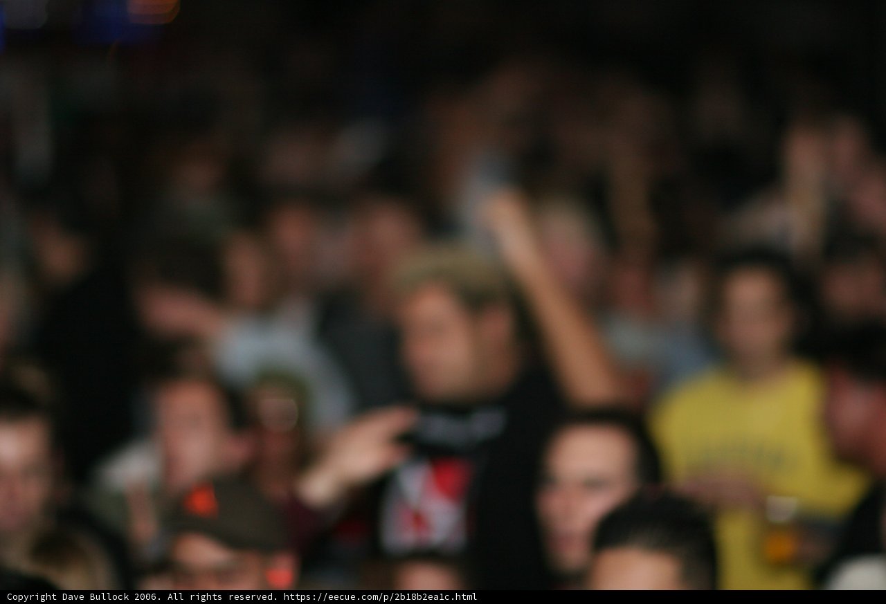 Blurry Crowd at the Concert