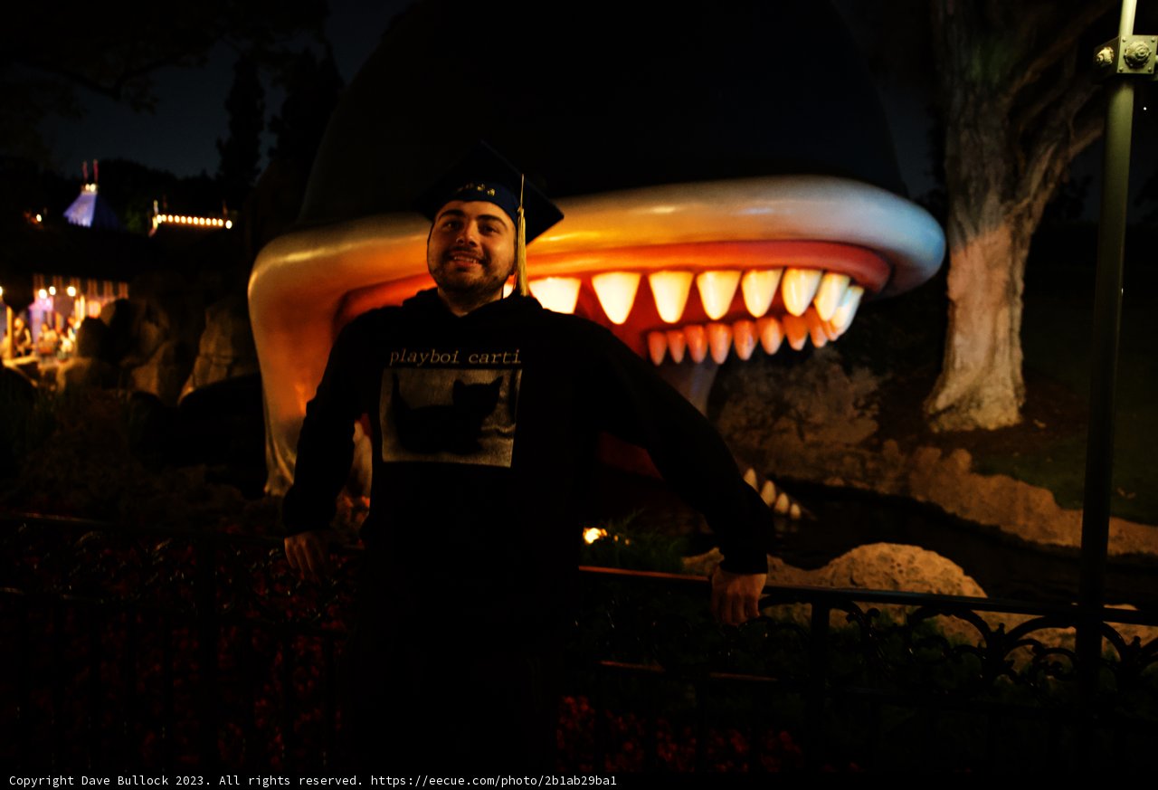 Shark Encounter at Disneyland