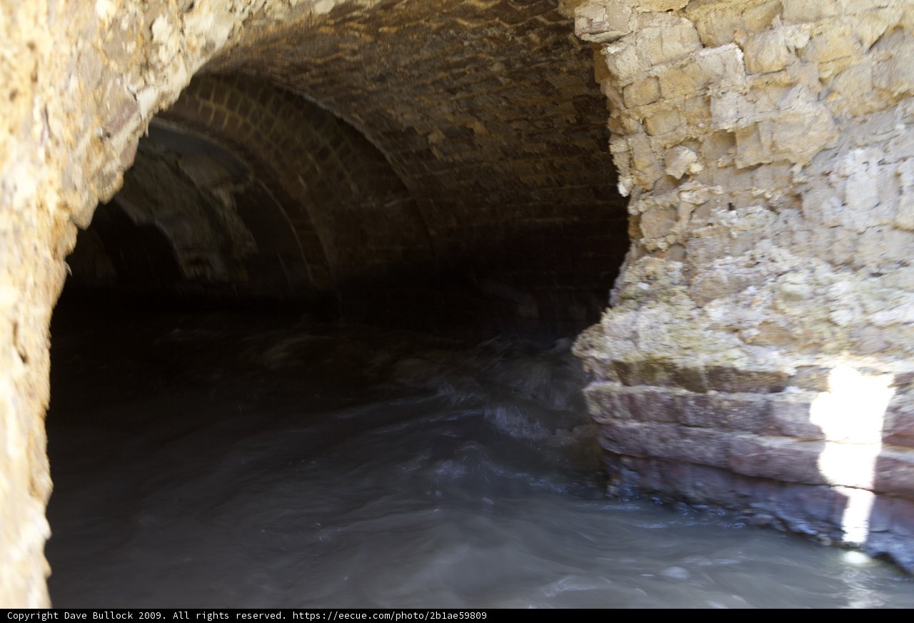 Enchanted Crypt Tunnel