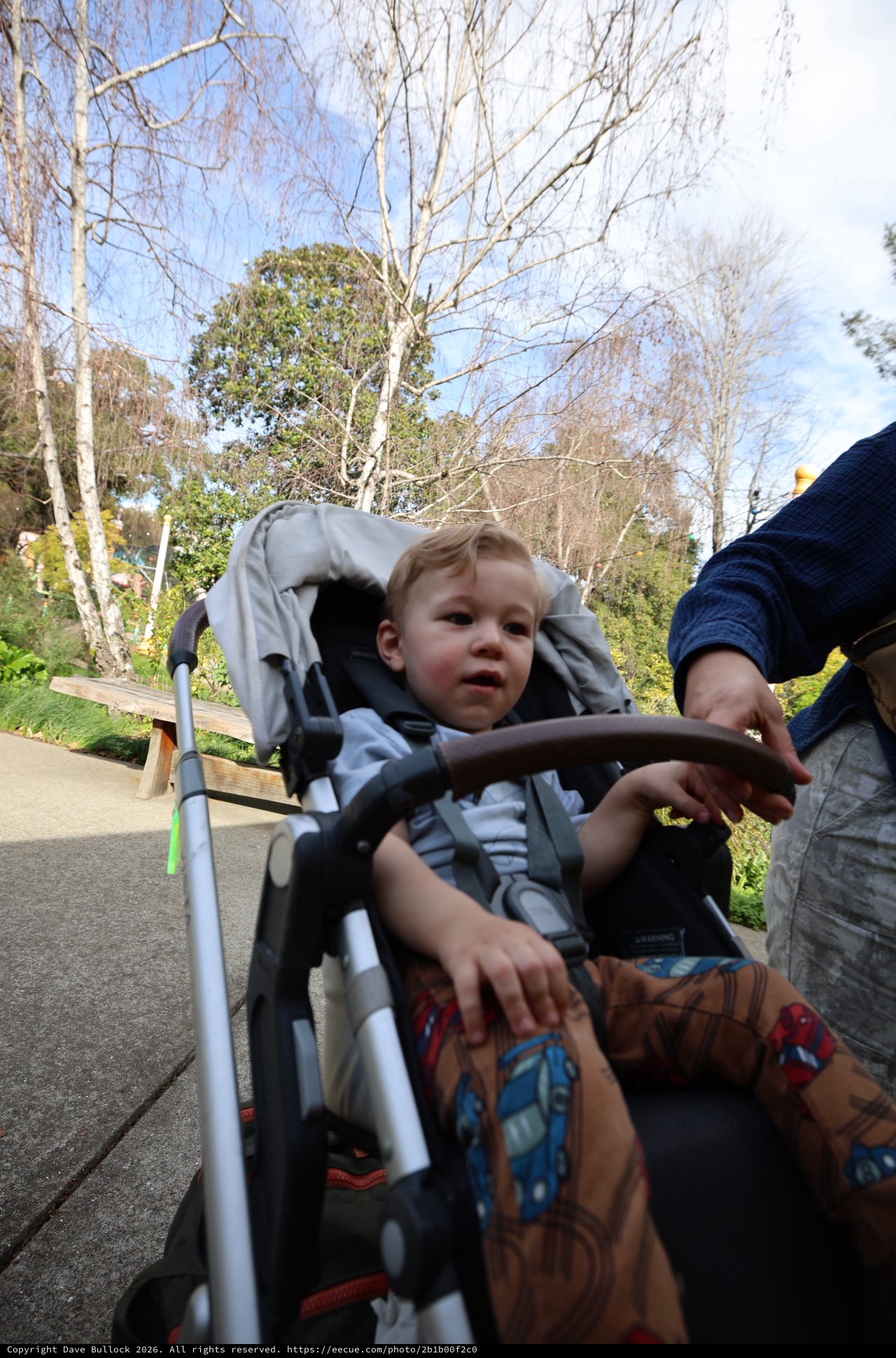 Toddler Riding Stroller Through Park on Sunny Day