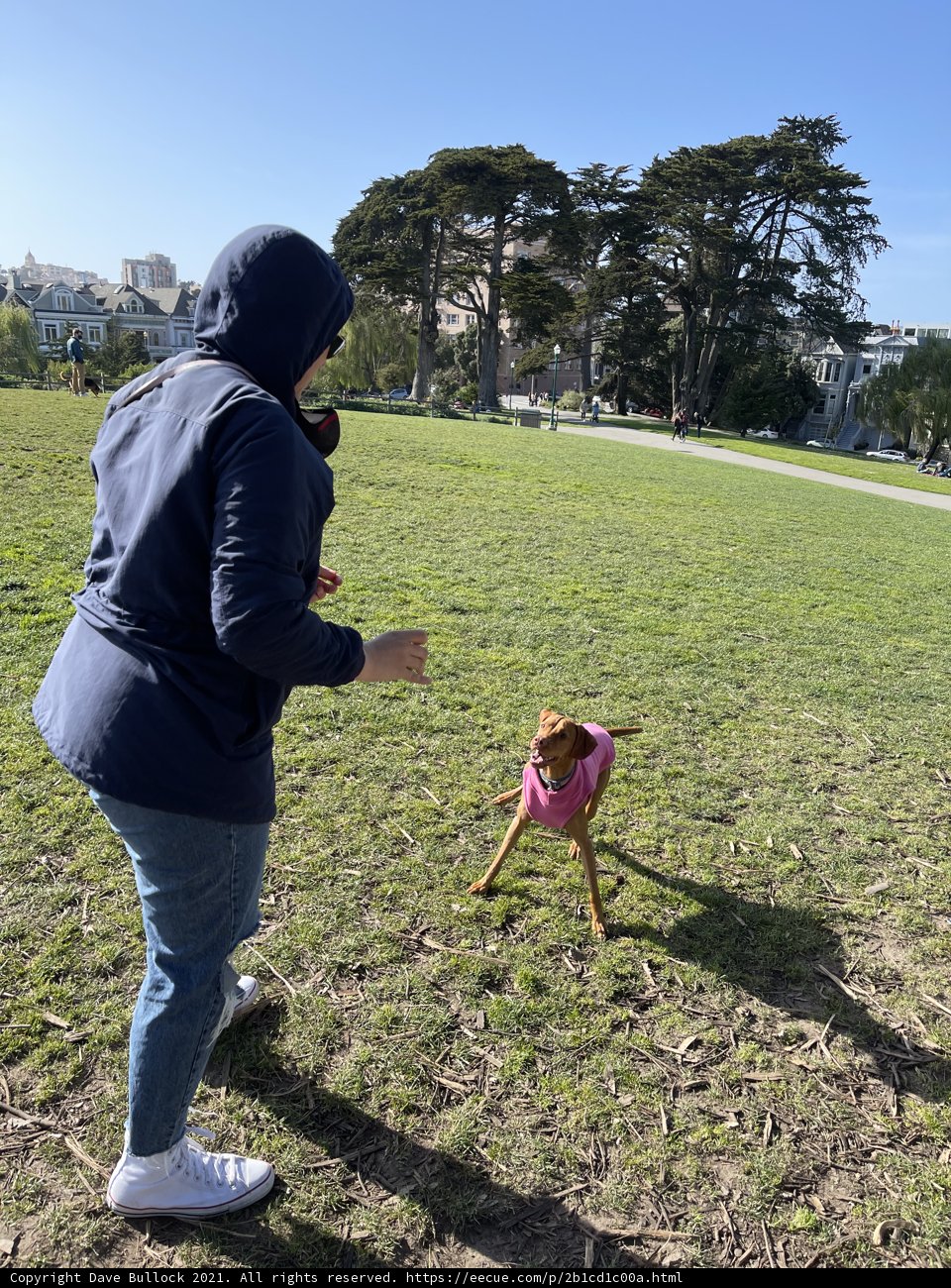 Fun in the Sun at Alamo Square Park