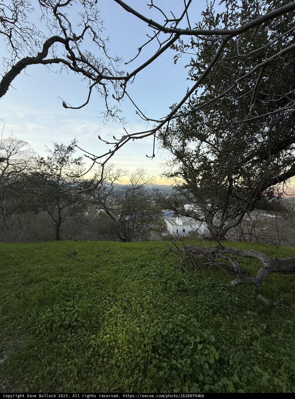 Tranquility in Walnut Creek
