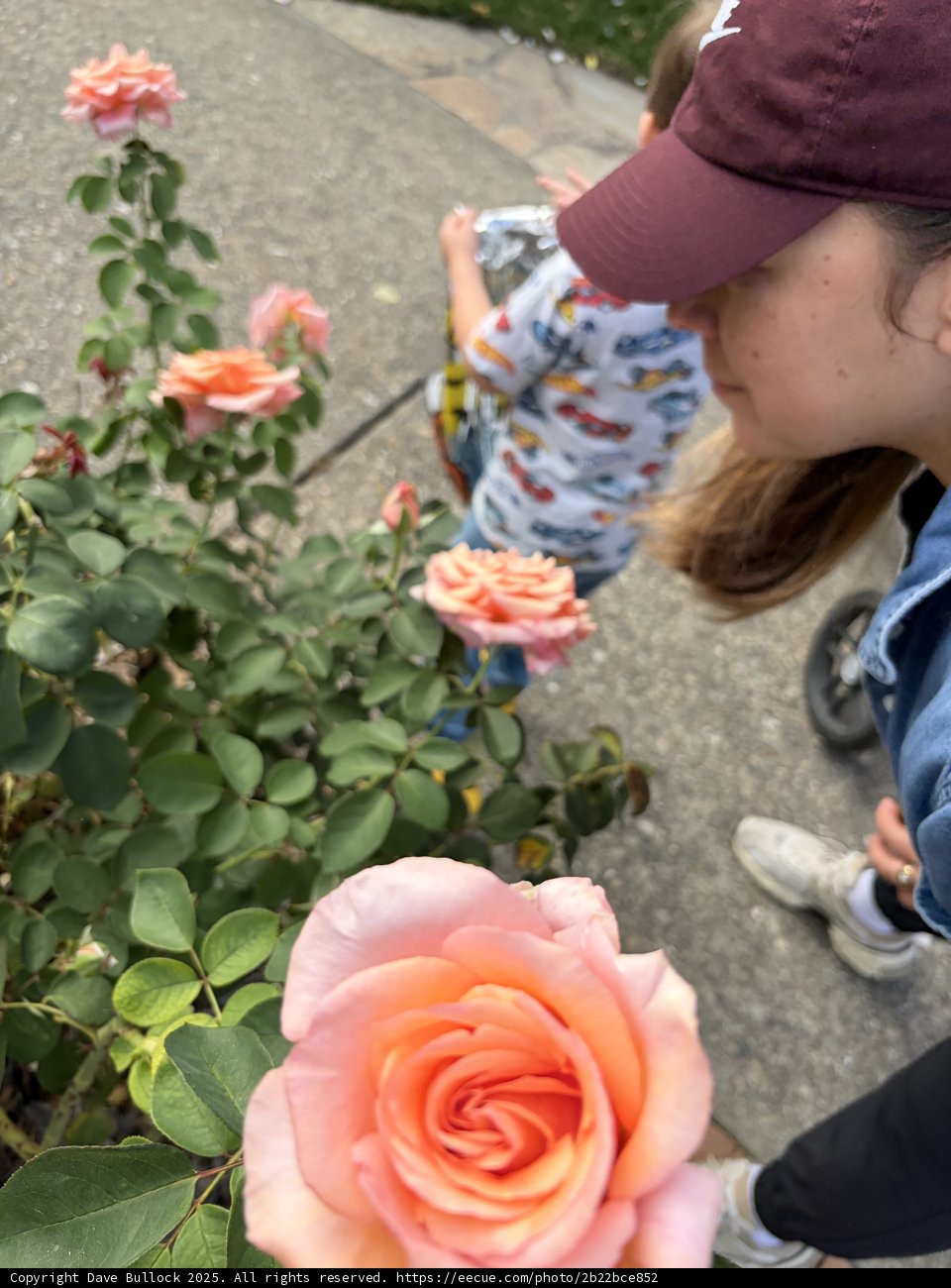 Blossoms and Smiles at Heather Farm Park
