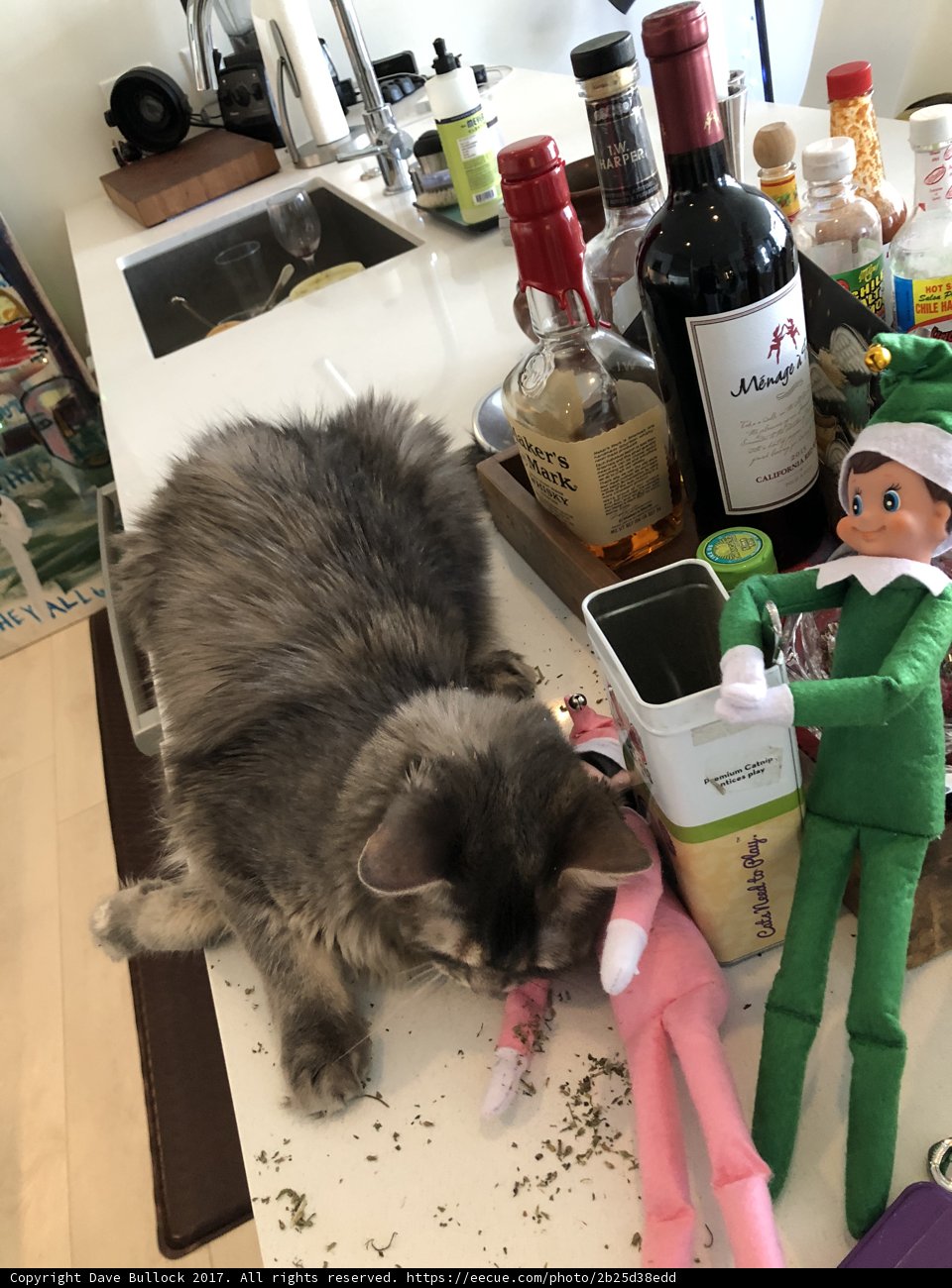 Cat and Toys on the Counter