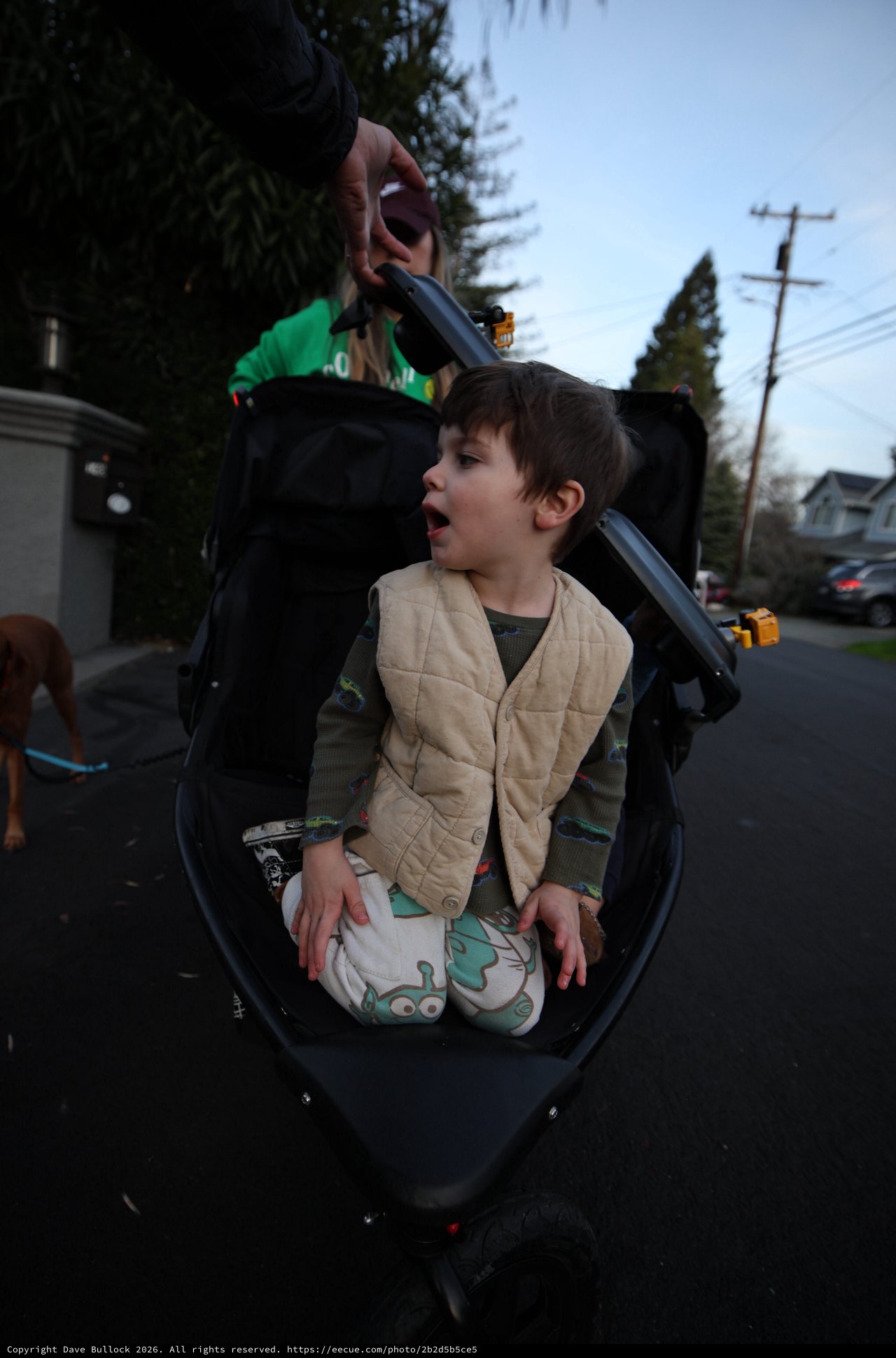 Child in Adaptive Wheelchair on Evening Neighborhood Walk