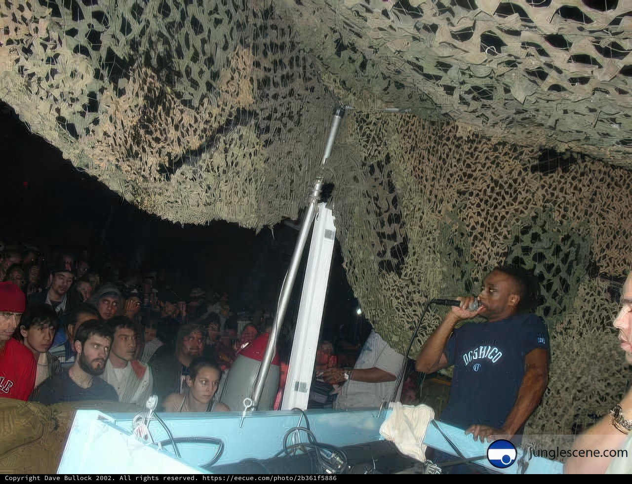 Entertaining the Crowd