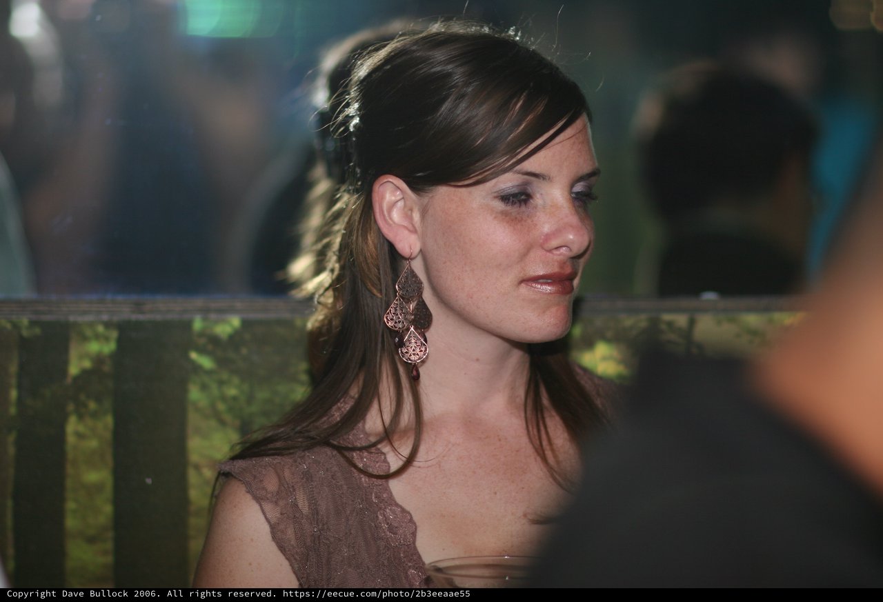 Elegant Woman at Evening Social Event 2006