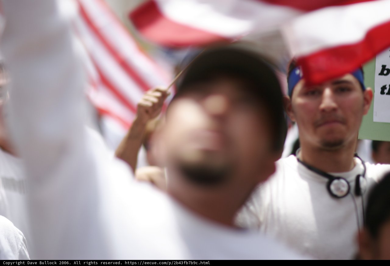 Patriotic Protester