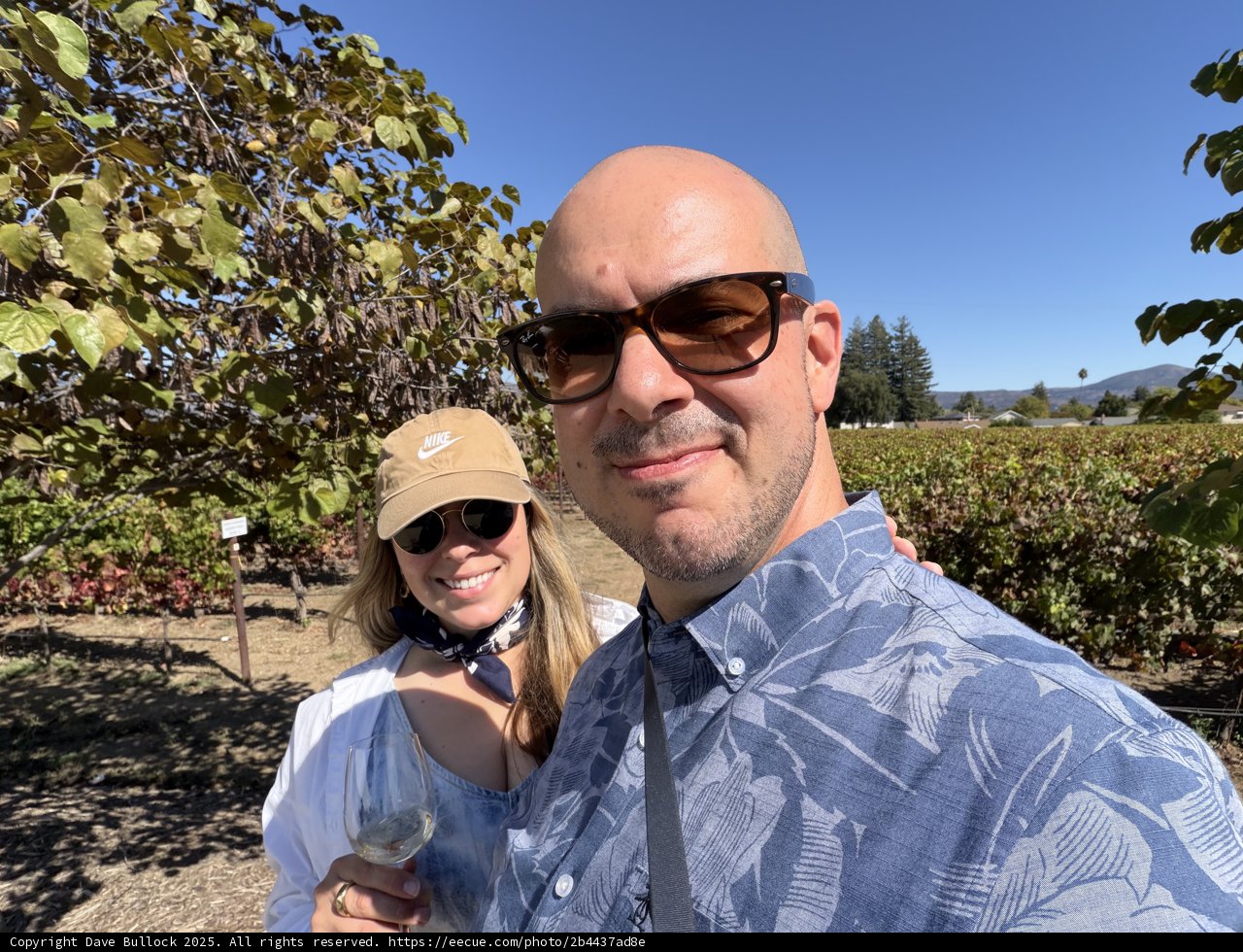 Vineyard Vibes