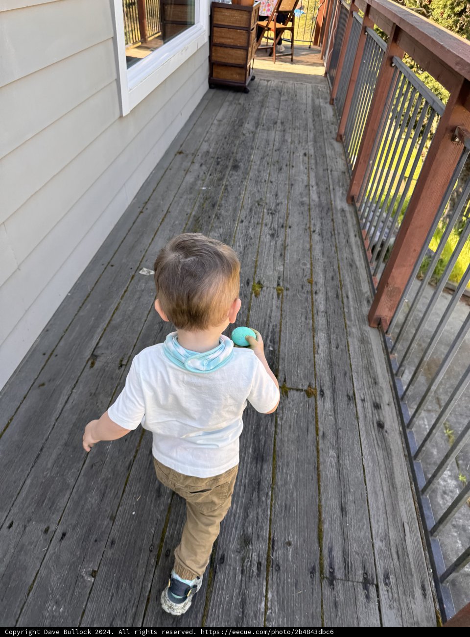 Childhood Wanderlust: A Young Explorer in Sebastopol