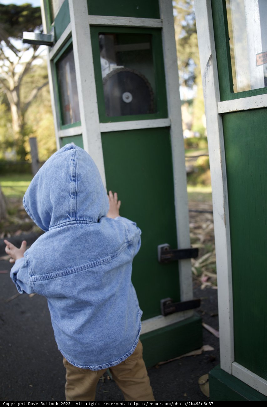 Autumn Adventures at the SF Zoo