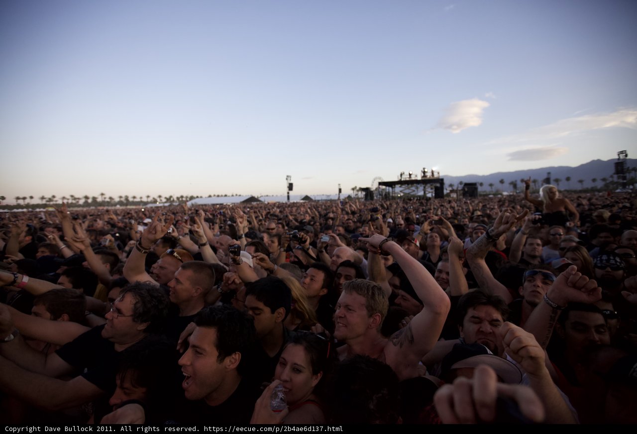 High Energy Concert Crowd