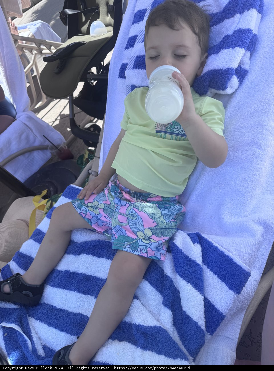 Relaxing Poolside Moment