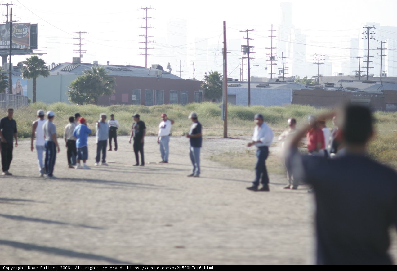 Gathering in the Field