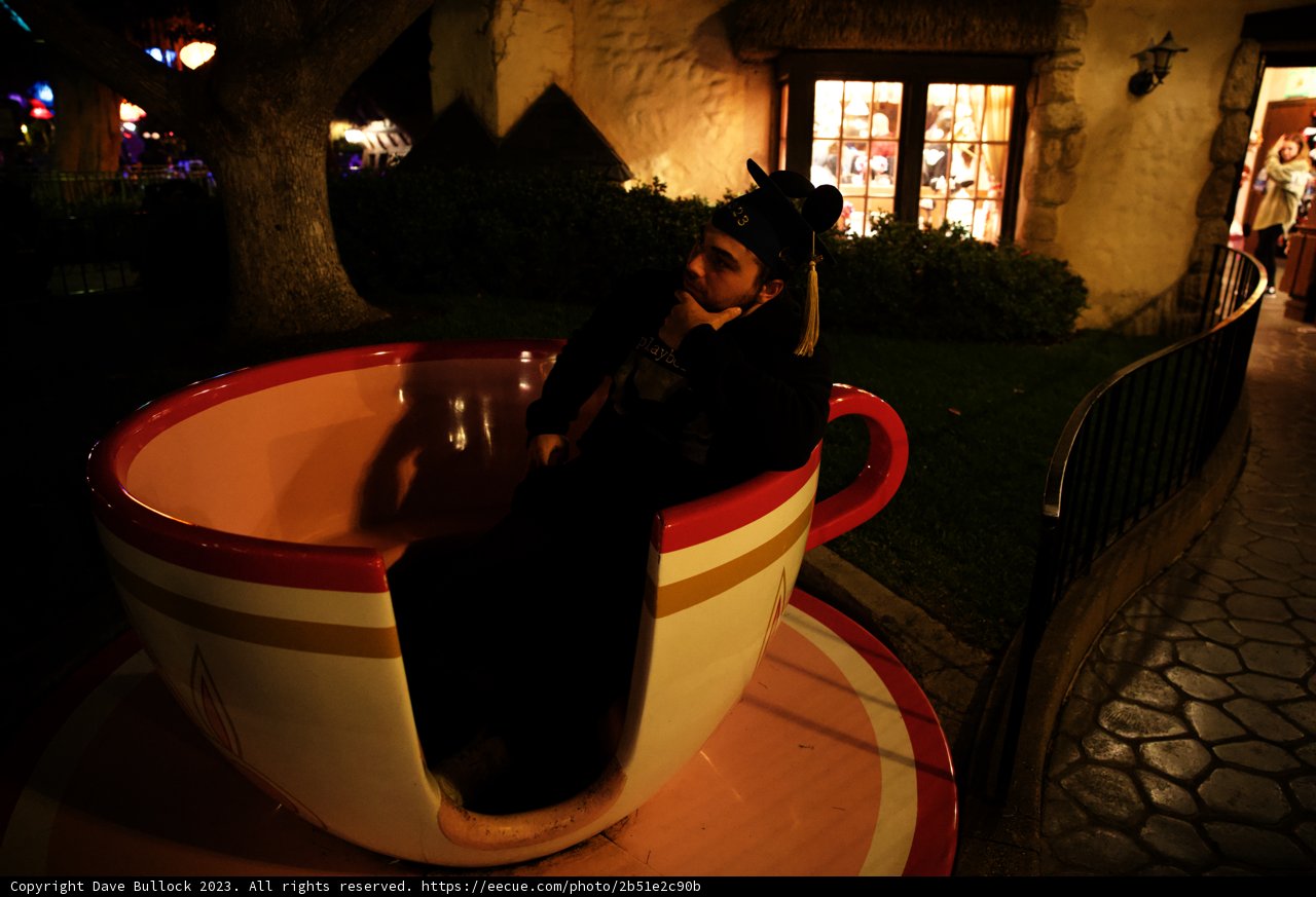 An Enchanting Night at Disneyland