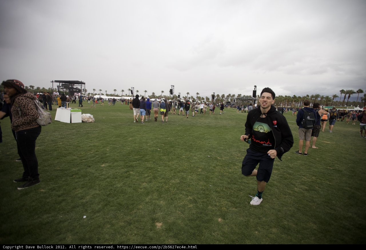 Soaring Through the Grass