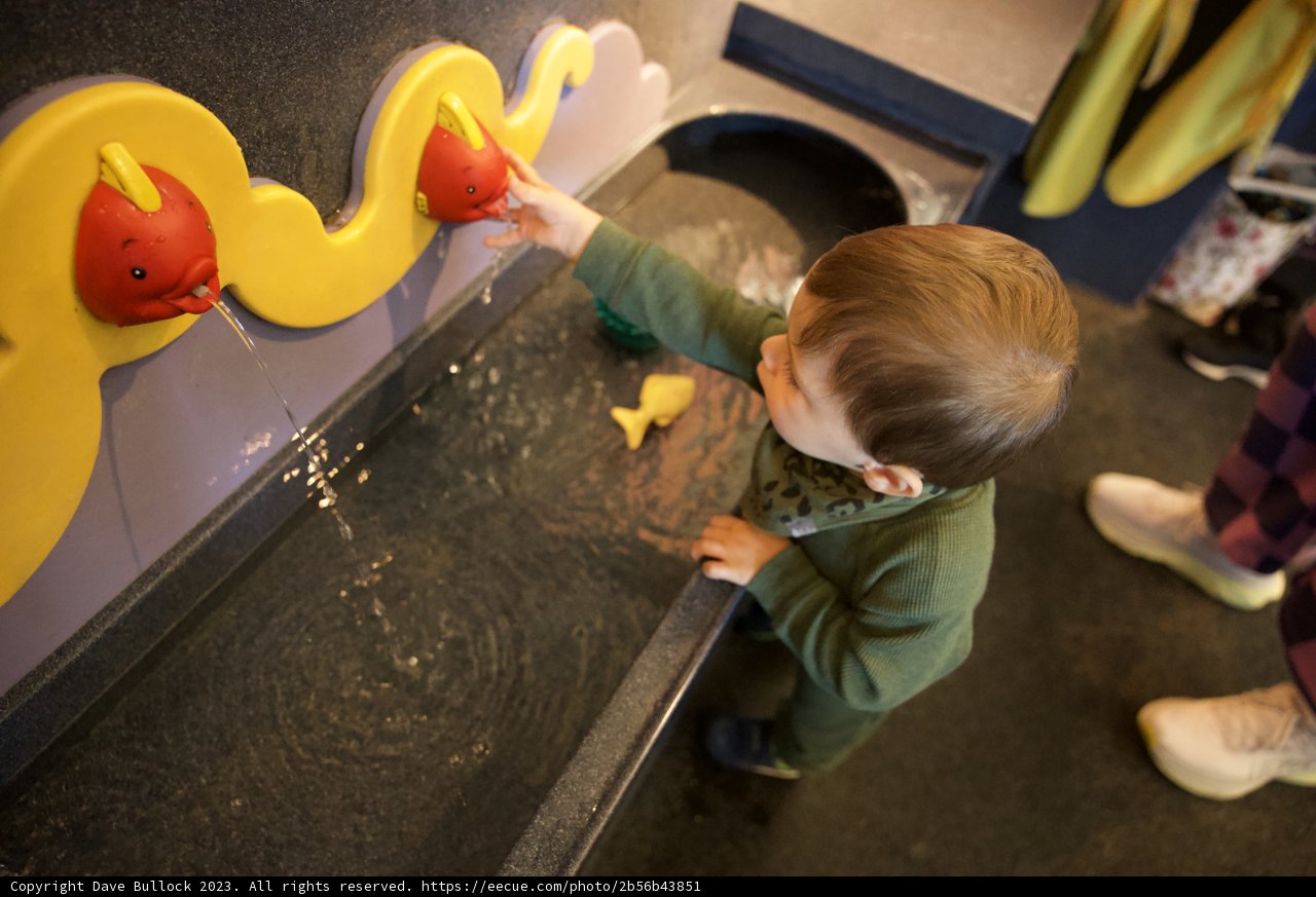 Childhood Magic at Monterey Bay Aquarium
