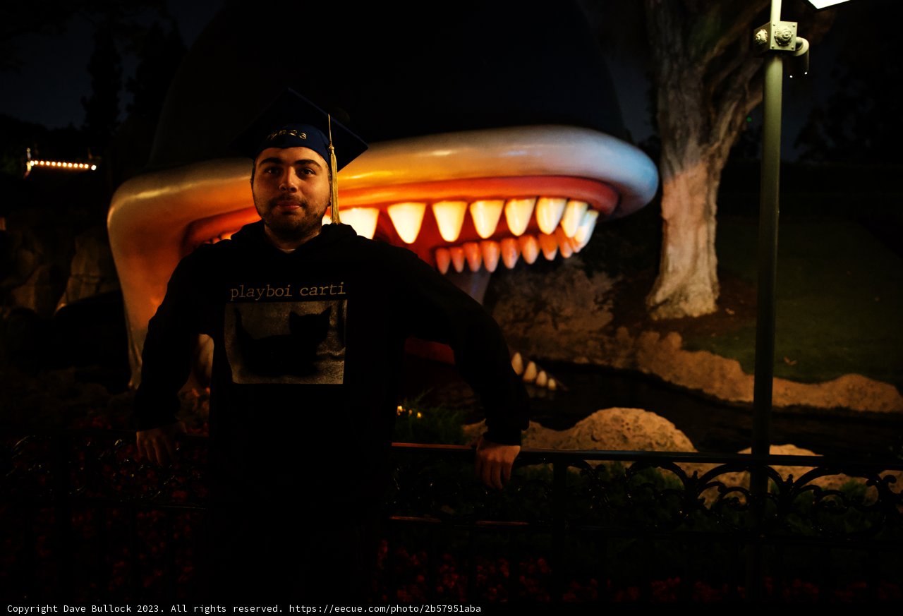 The Shark Encounter