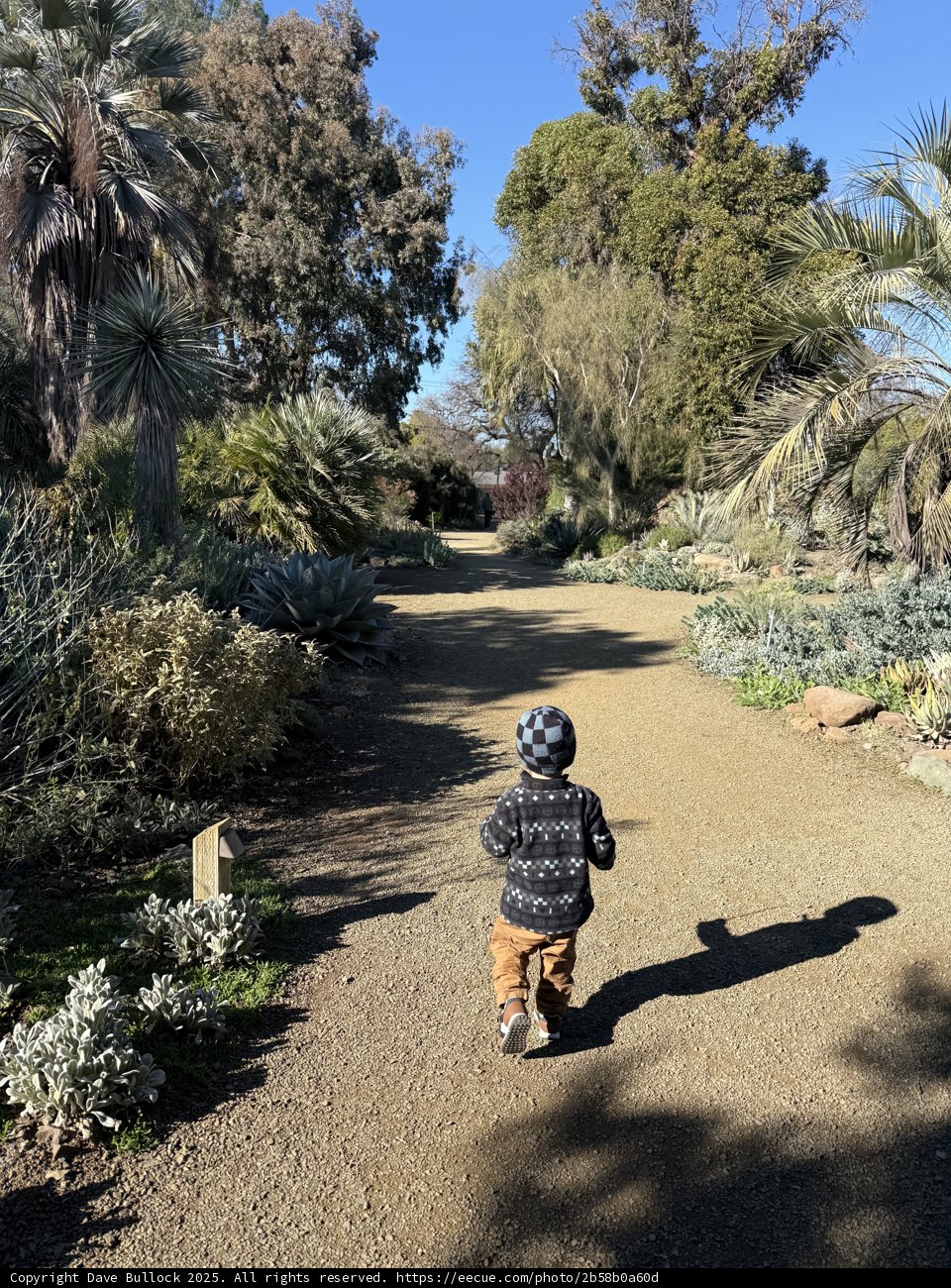 Wandering Through Nature