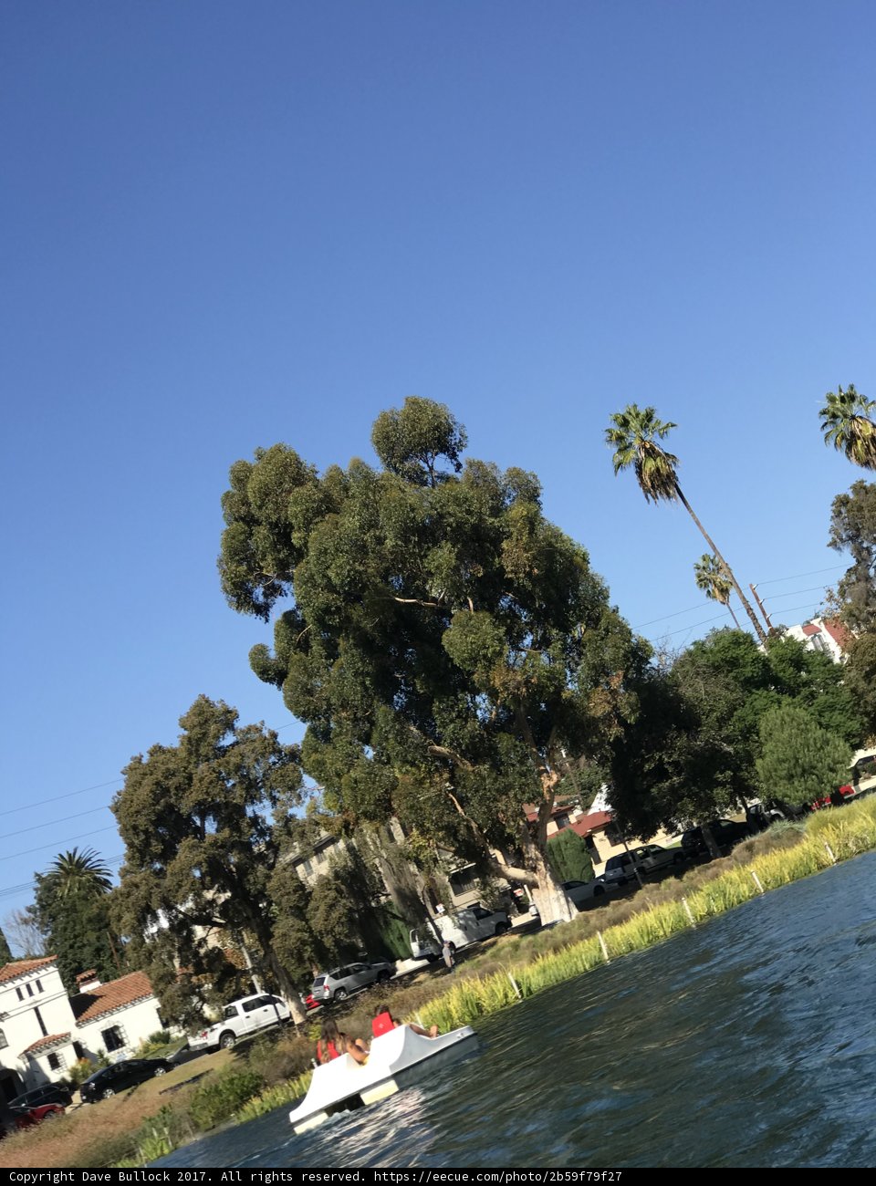 Serene Waterfront Landscape