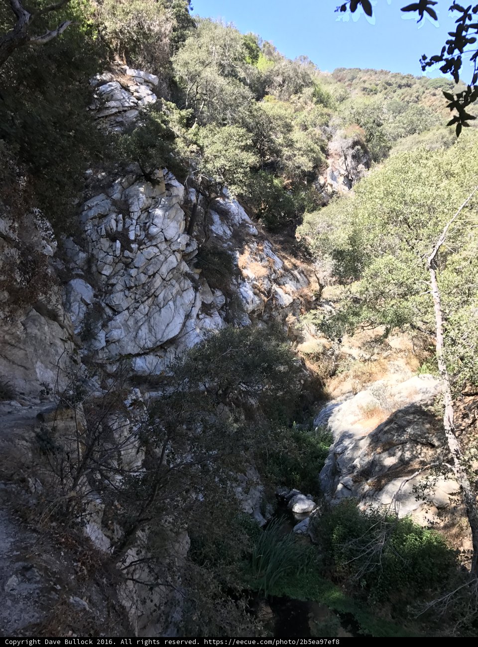 Descending into Wilderness