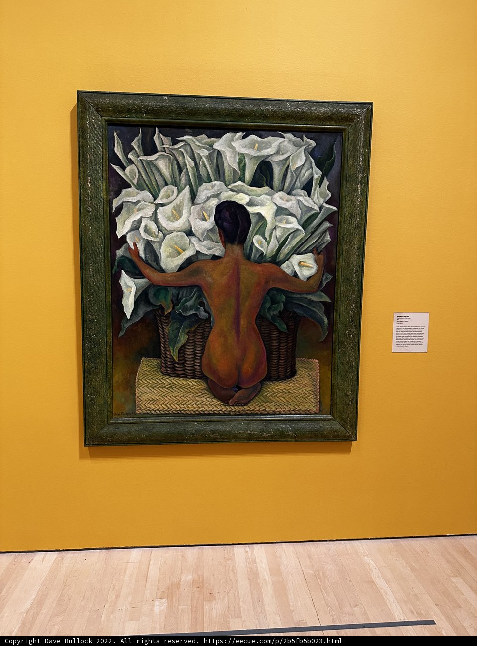 Naked Flower Woman