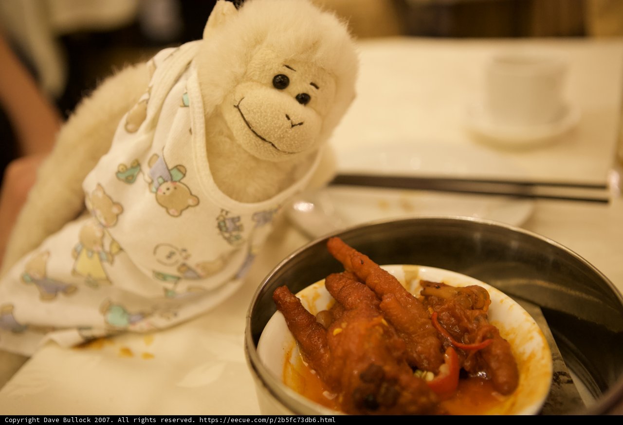 The Hungry Monkey