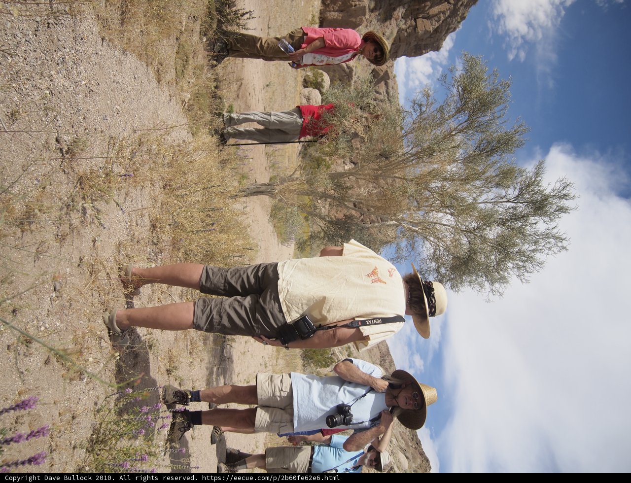 A Hike Through Anza Penelope