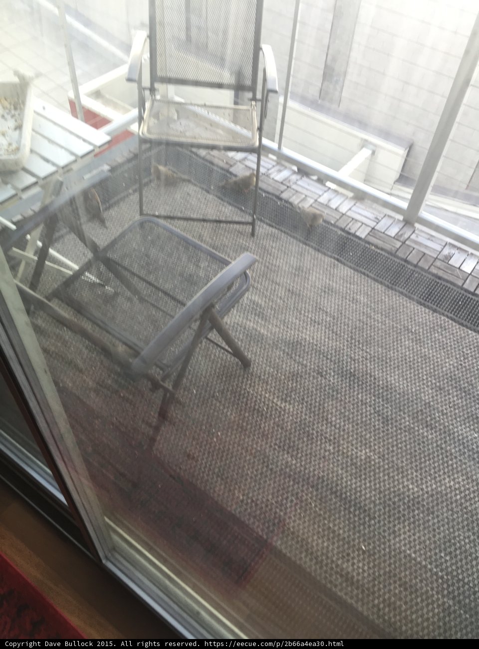Relaxing on the Patio