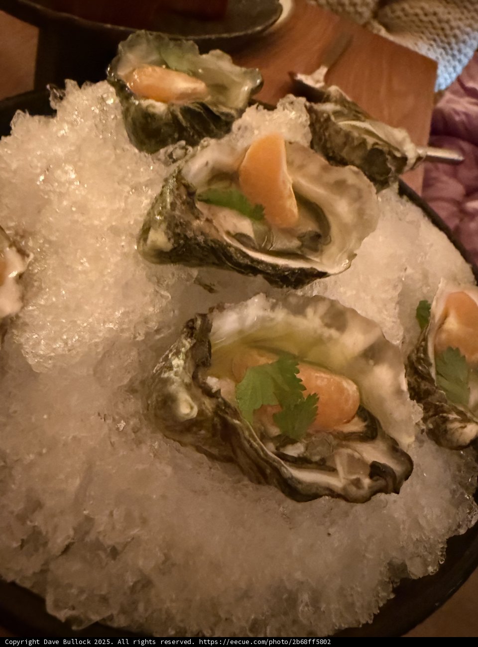 **A Taste of the Sea**