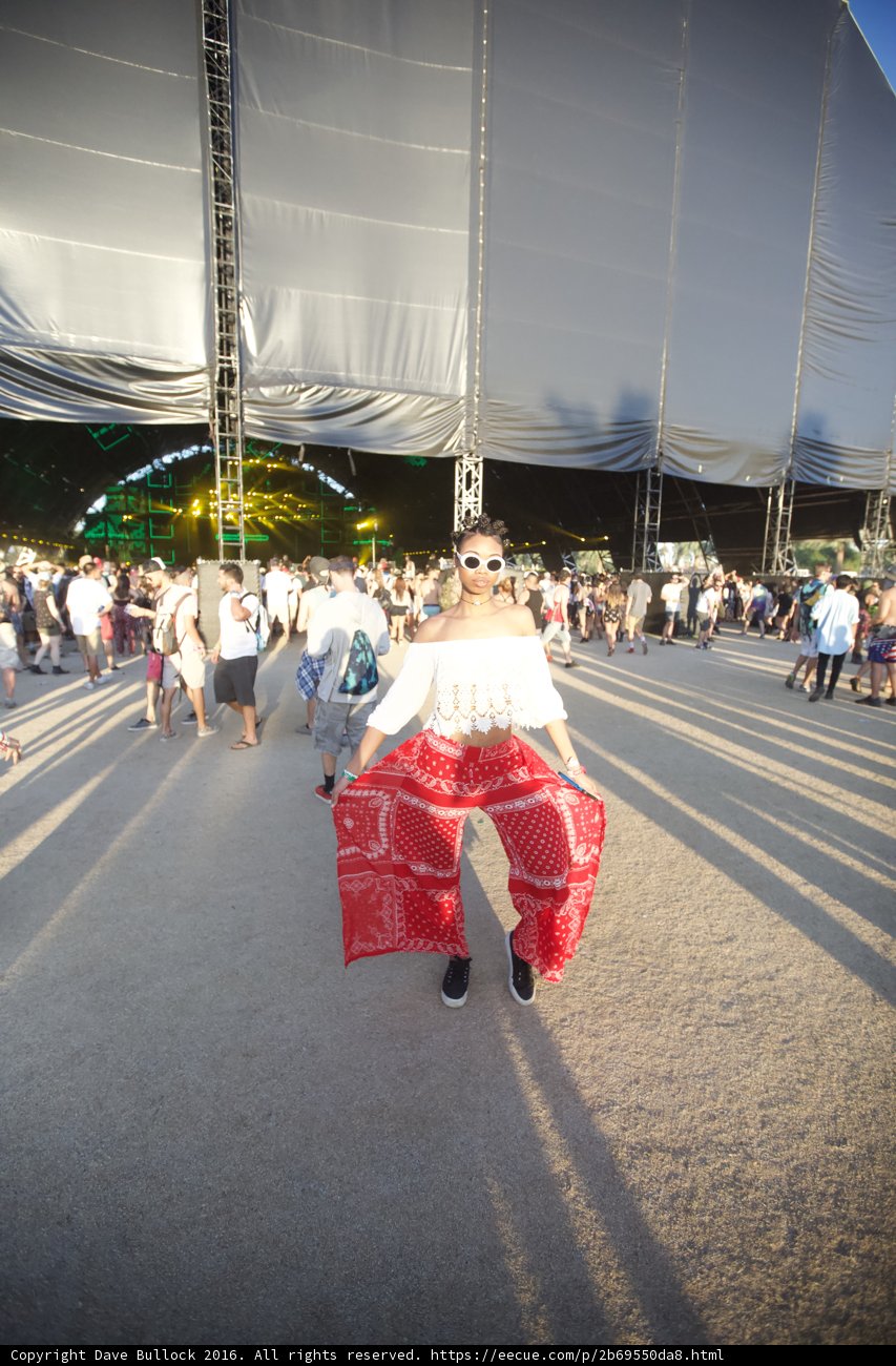 Festival Fashionista