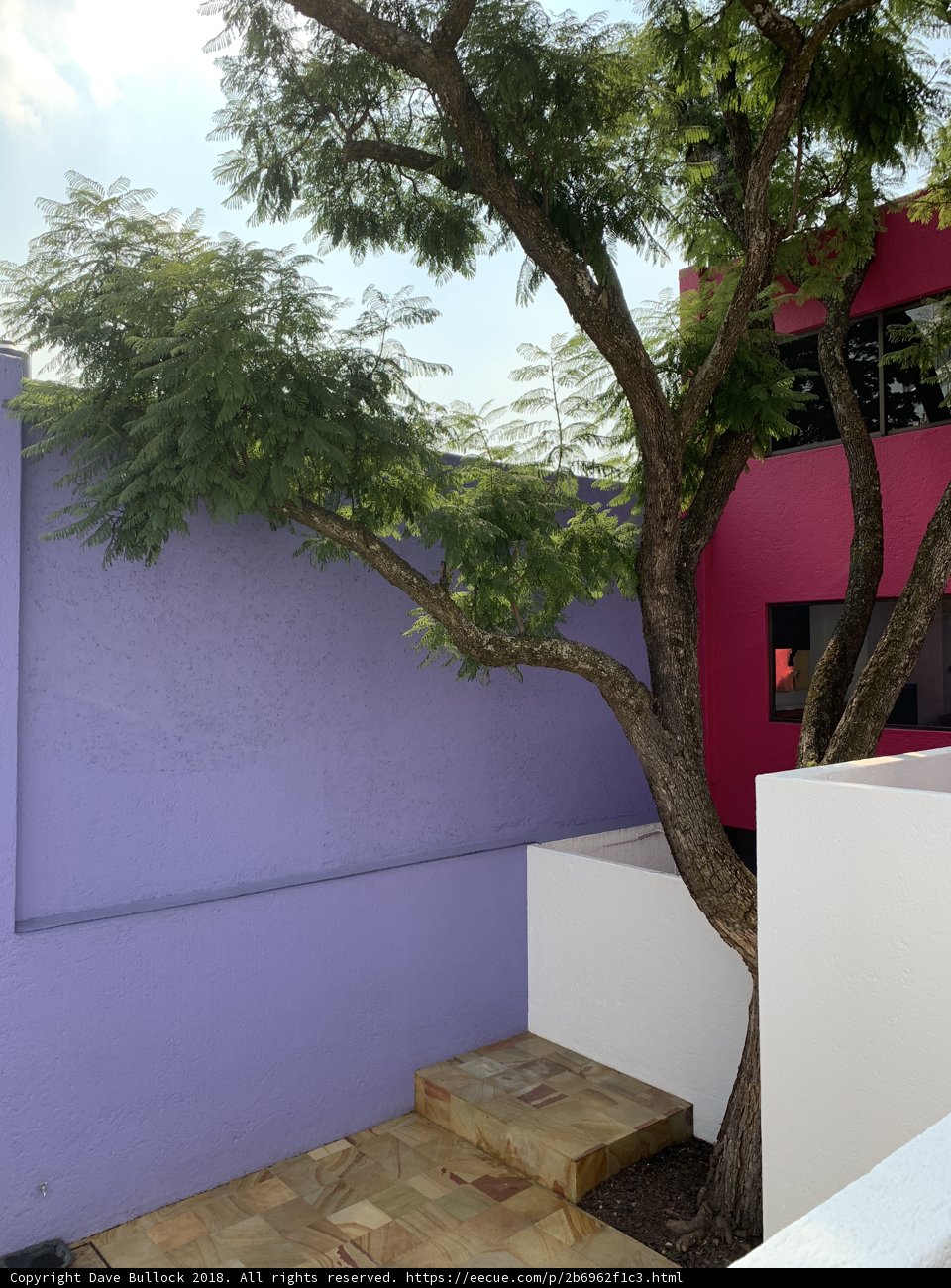 A Colorful Home with a Tree in the Middle