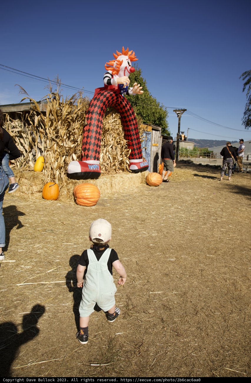 Squash Scurry: A Little Adventure at the Metzgar's Pumpkin Patch