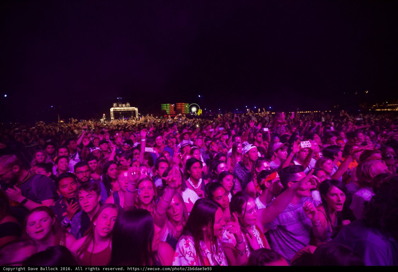 Purple Haze at Coachella 2016