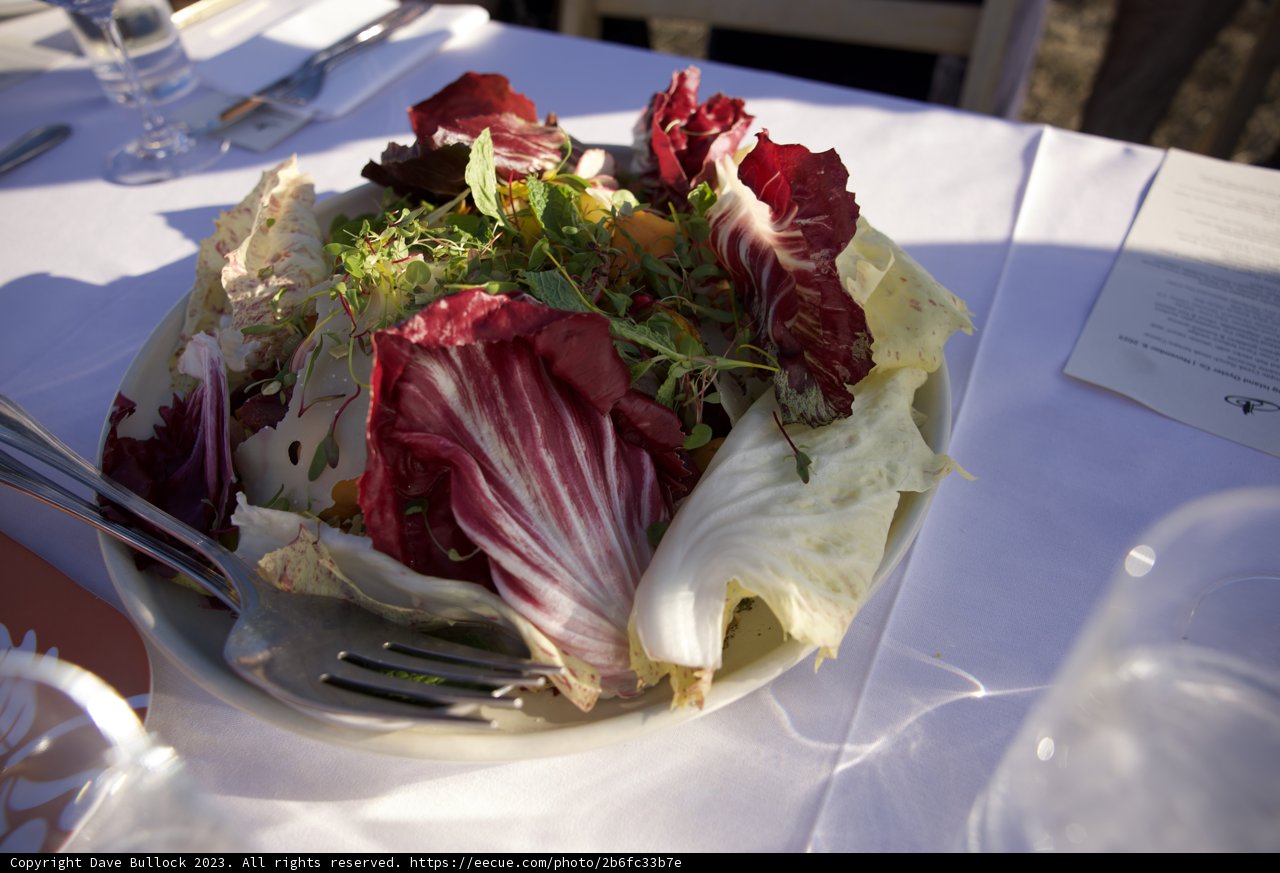 An Afternoon of Alfresco Dining at Hog Island Oyster Co. 2023
