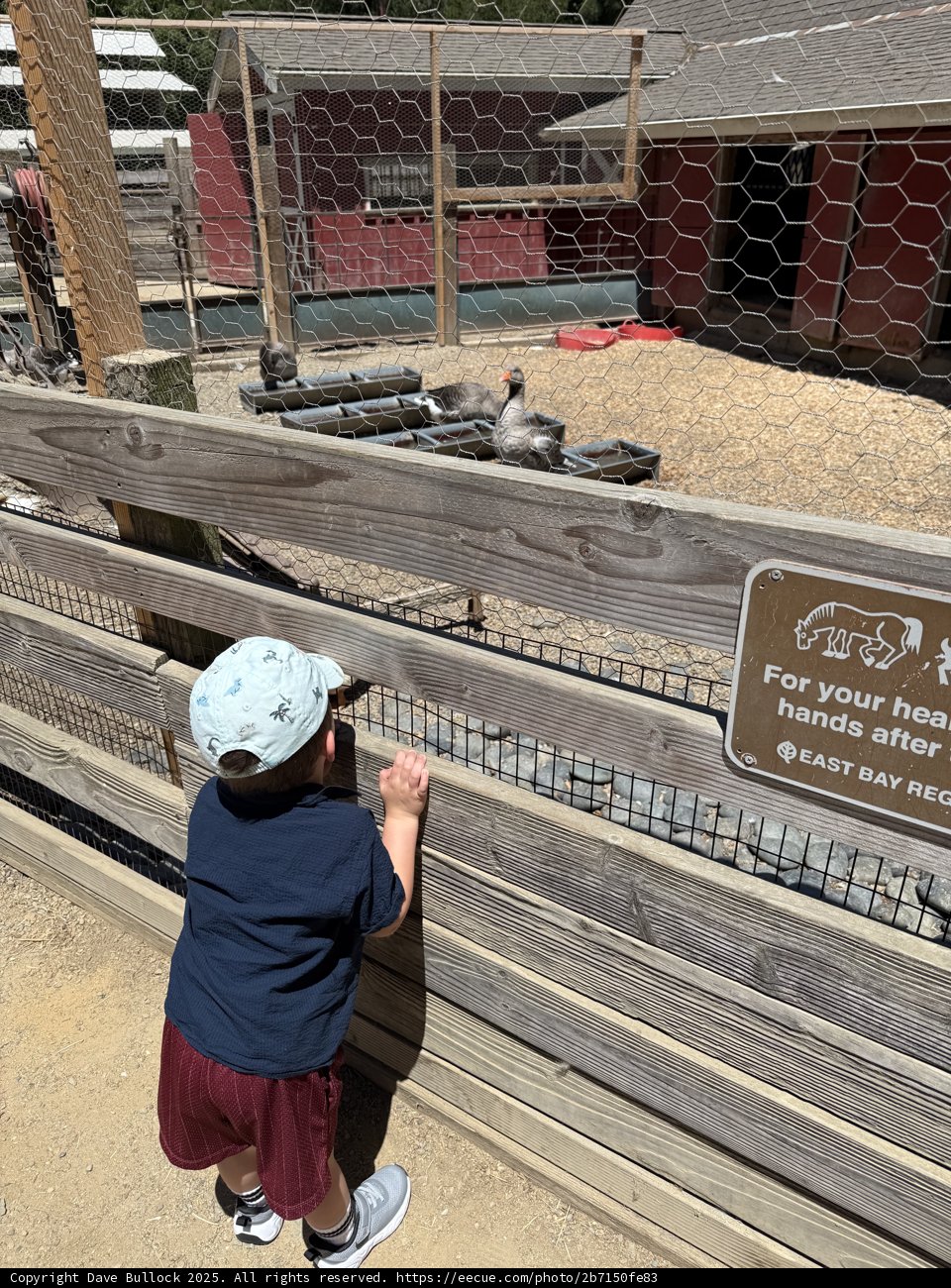 Curious Encounters at the Nature Area
