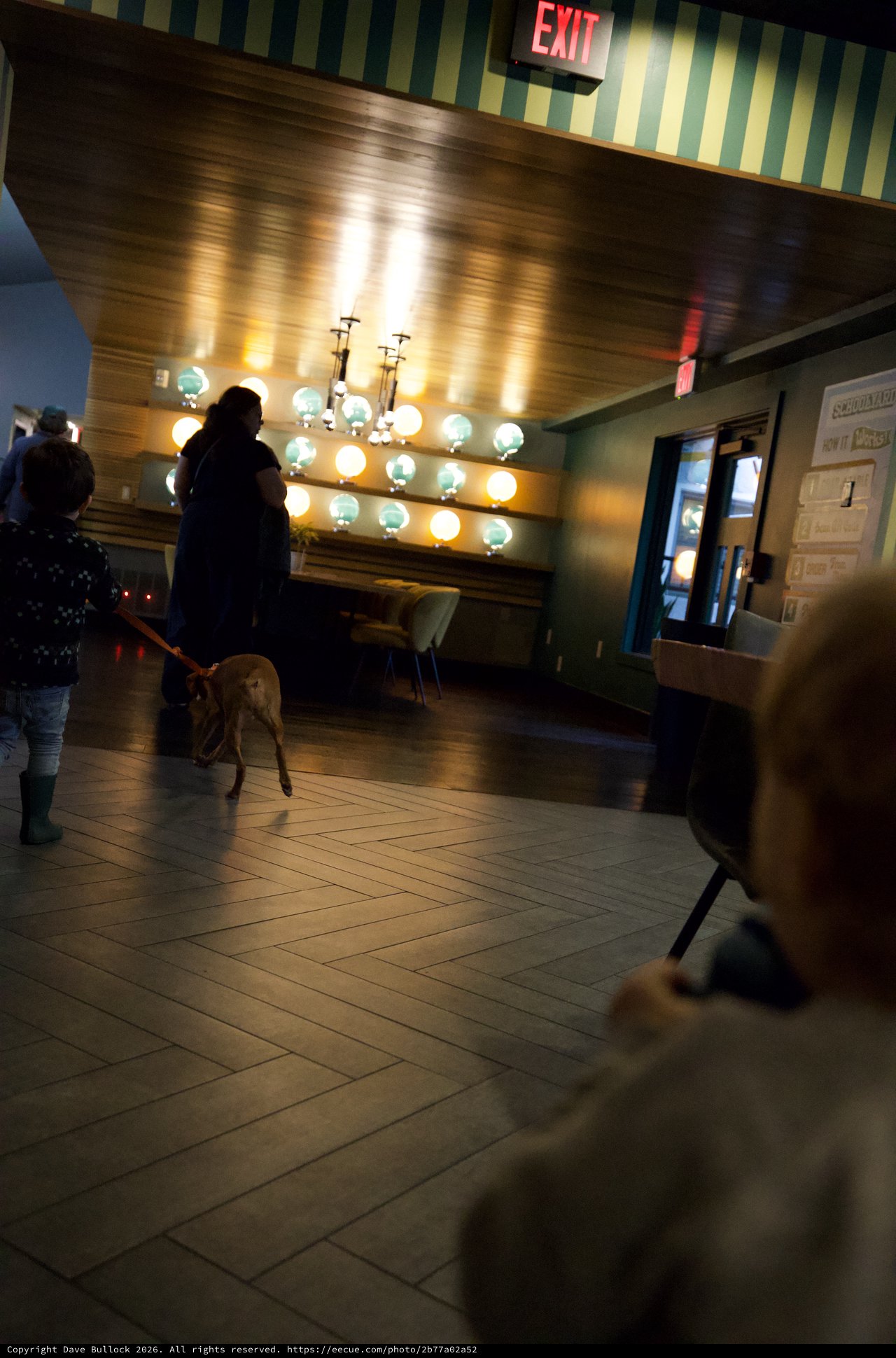 Dogs in Retro Mid-Century Lobby at Night