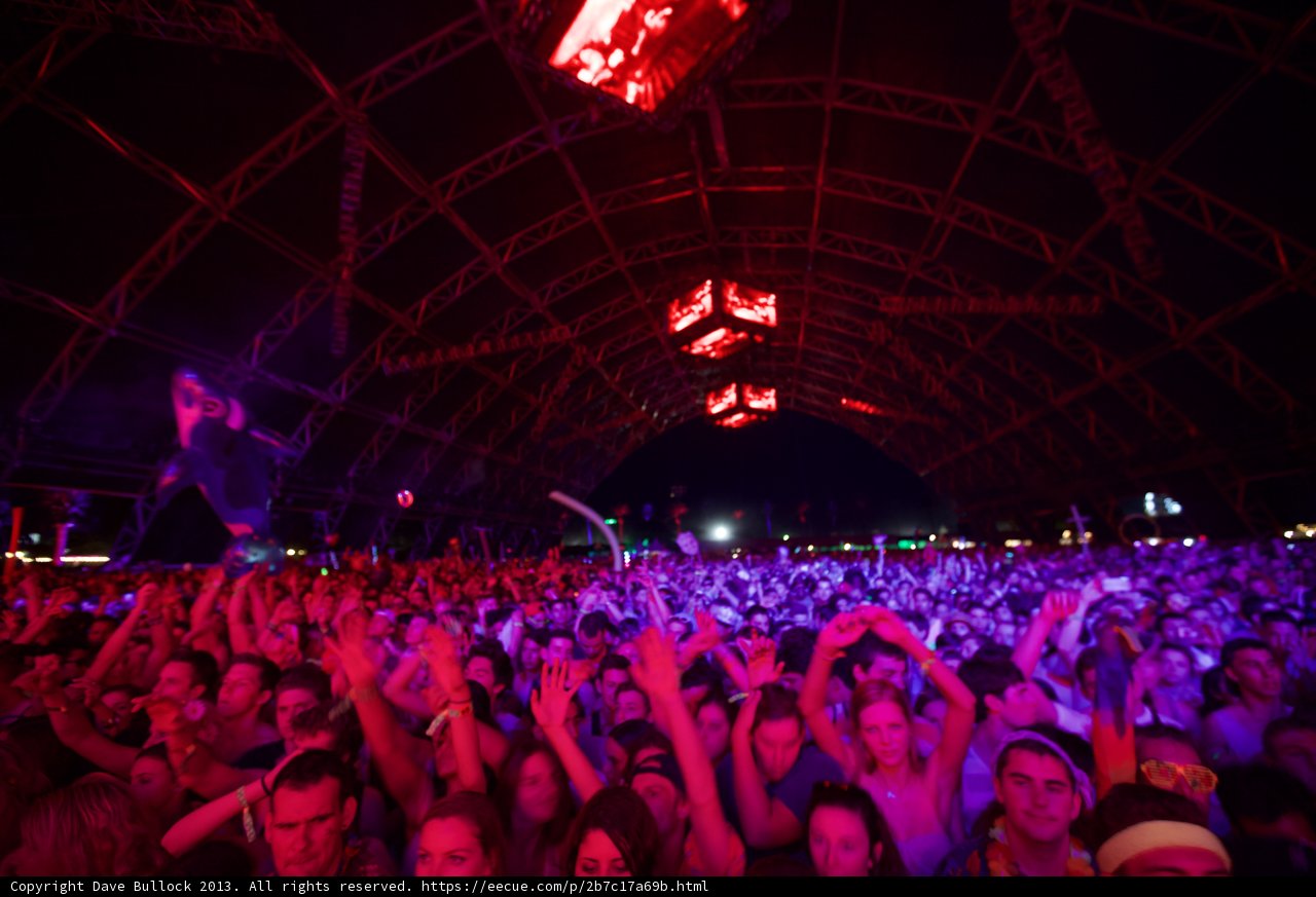 Coachella Crowd Goes Wild