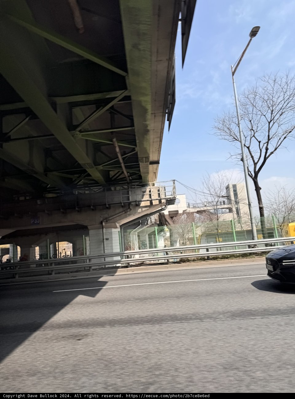 Underpass Diaries: A Metropolis Journey