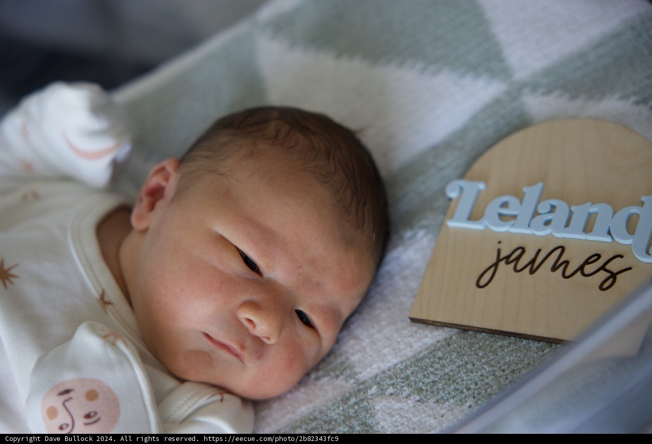 Welcome to the World, Leland