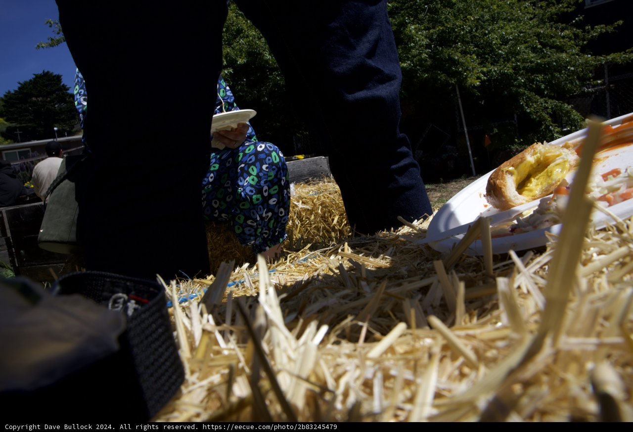 A Rustic Communion: Earth Day Celebrations at Alemany Farm