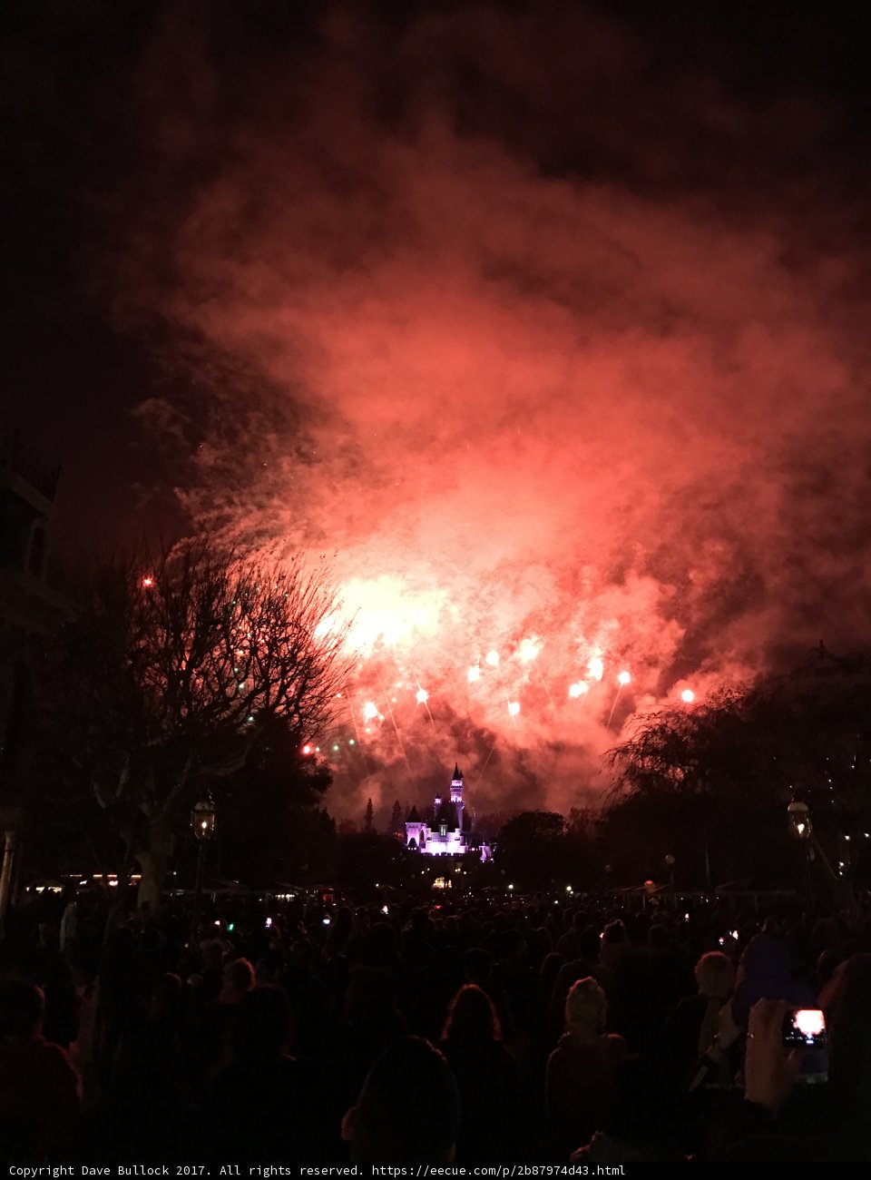 Magical Fireworks Over Disneyland