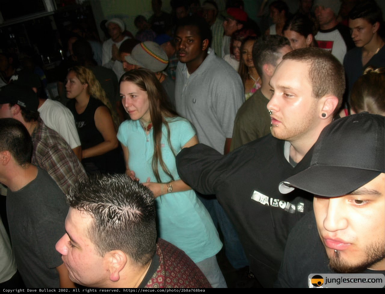 Nightclub Fun with Friends