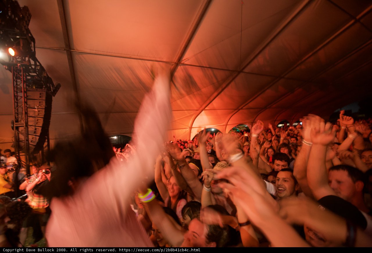 Electric Crowd at Coachella