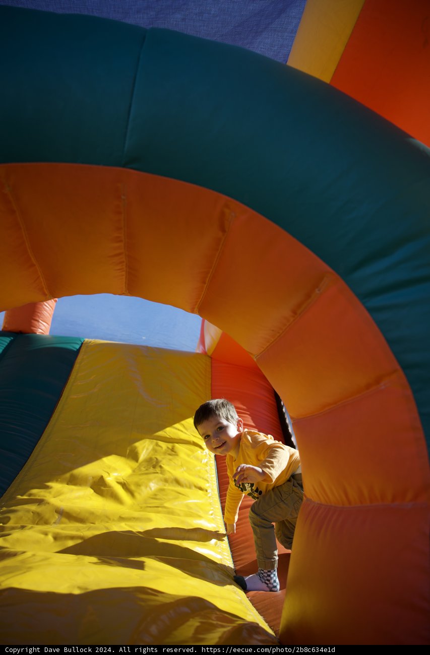 Bounce of Joy