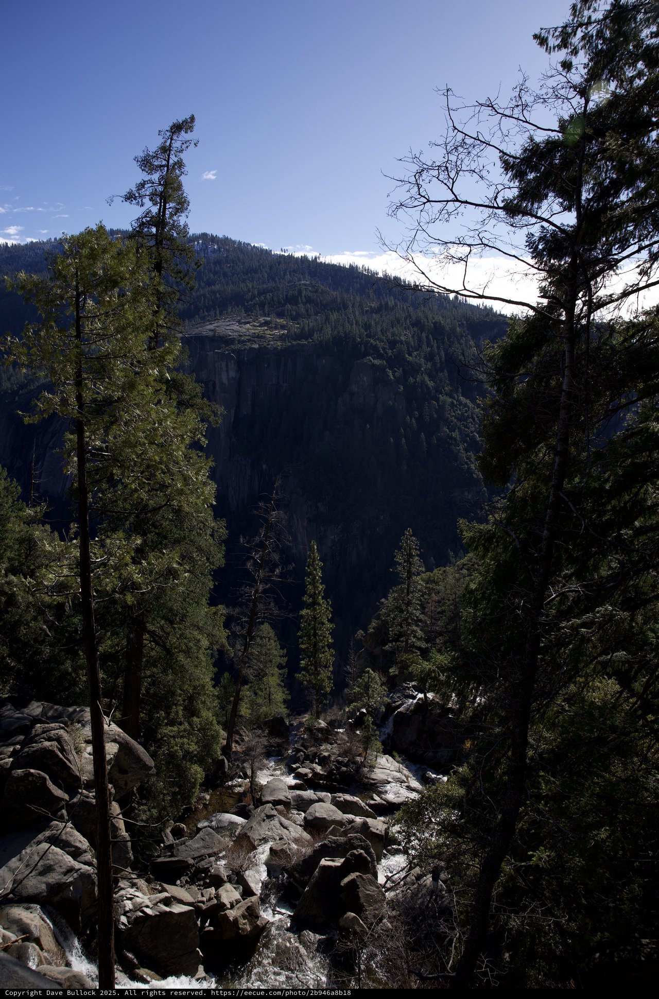Mountain Stream Through Yosemite Valley Forest